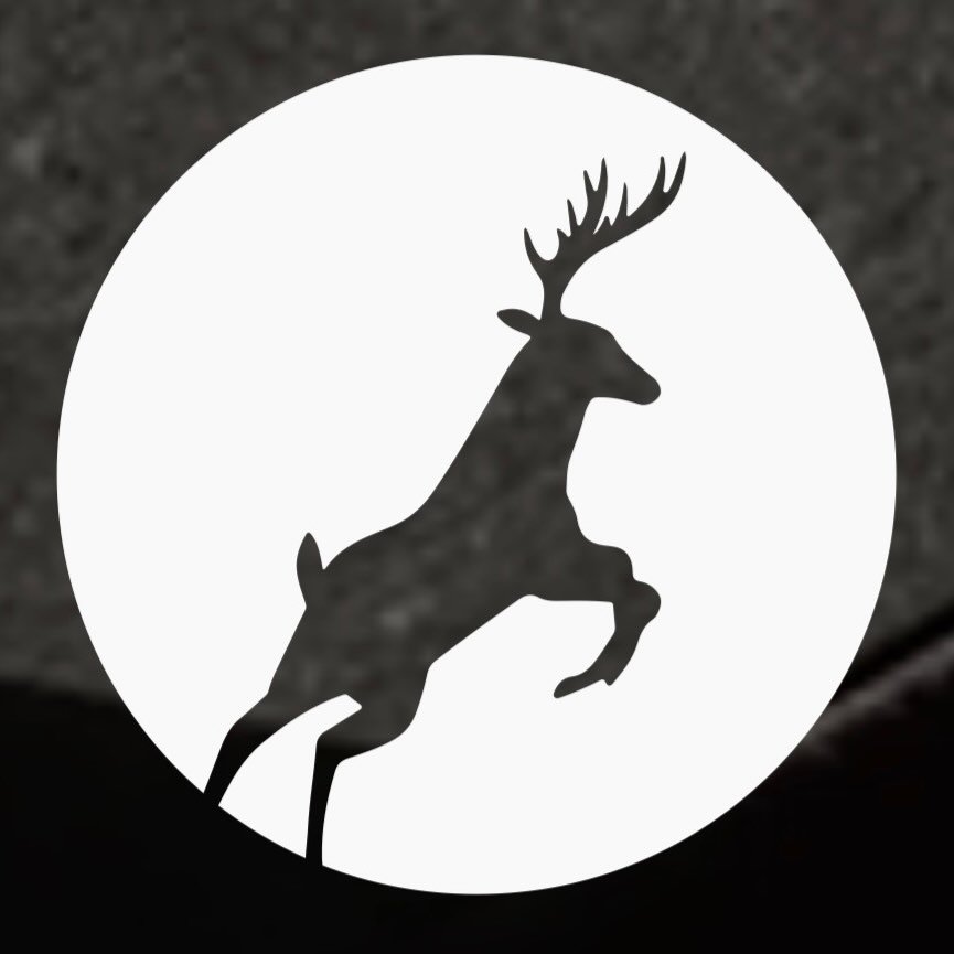 CrossFit Chichester logo
